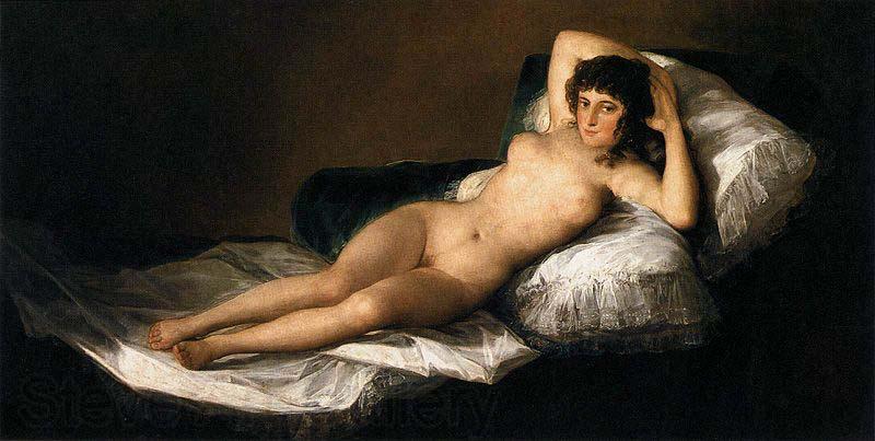 Francisco Goya The Nude Maja Norge oil painting art